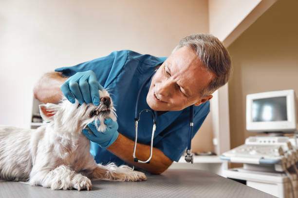 Best Emergency Denture Repair in Little River Academy, TX